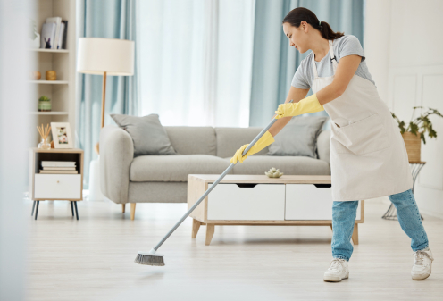 A Household Pest Control Guide: How to Get Rid of Bugs